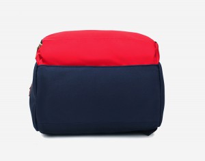 рюкзак LIVING TRAVELING SHARE бело-сине-красный фото дна